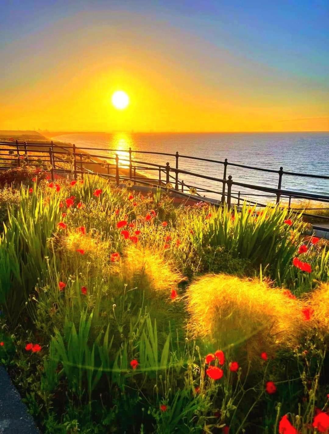 Sea Forever Oceanfront Home Perfectly Saltburn Экстерьер фото