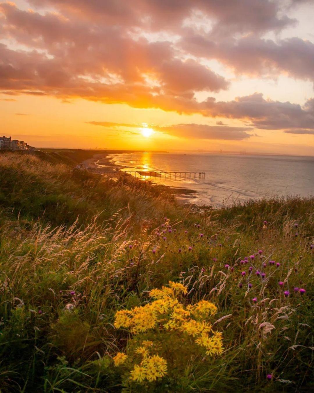 Sea Forever Oceanfront Home Perfectly Saltburn Экстерьер фото